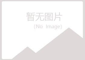 芦山县女孩建设有限公司